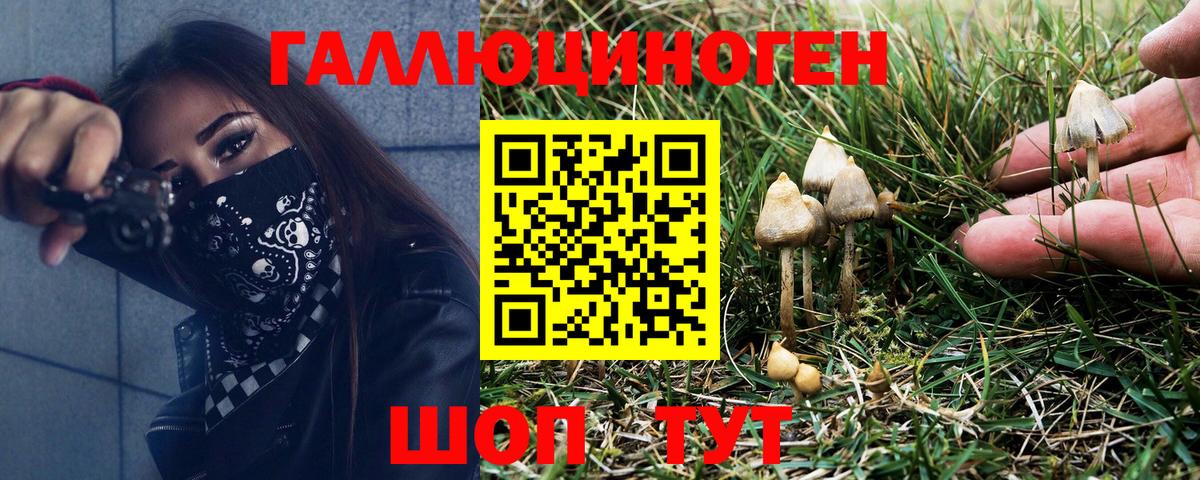 Донской  купить  сайты  Вход с VPN  Псилоцибиновые грибы Psilocybine cubensis  Галлюциногенные грибы MAGIC MUSHROOMS 
